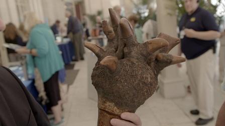 Video thumbnail: Antiques Roadshow Appraisal: Penobscot Carved Root Club, ca. 1850