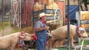The 2026 Kentucky State Fair Opens