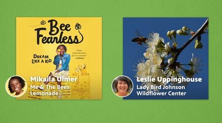 Video thumbnail: Central Texas Gardener Bee Friendly Champions!