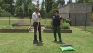 Planting Sweet Potatoes & Ergonomic Gardening