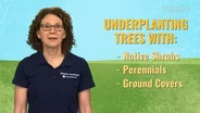 Soft Landings: Say No to the Mulch Volcano