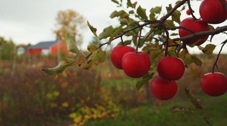 Video thumbnail: Destination Michigan Eastman's Forgotten Ciders and Antique Apple Orchard
