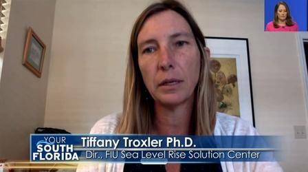 Video thumbnail: Your South Florida Climate Change Warnings