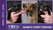 4/30/2026 | Exclamation Point, Semi Colon and Camilla | Mark's Furry Friends