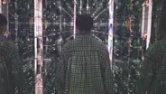 The Light Show