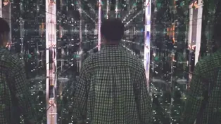 The Light Show
