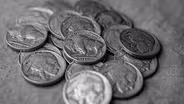 The Buffalo Nickel and Bison Facts Today