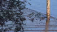 EPA approves cleanup plan for 9 more miles of Passaic River