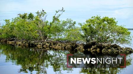 Video thumbnail: NewsNight Florida’s latest plans to improve climate resilience
