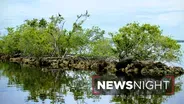 Florida’s latest plans to improve climate resilience
