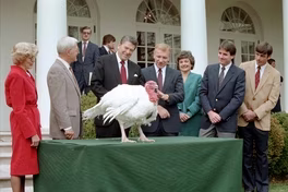 The real story behind the White House turkey pardon ceremony