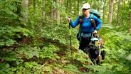 The Hiker