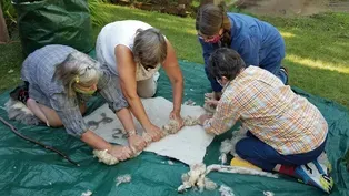 Wool Yurt Mural Part 2