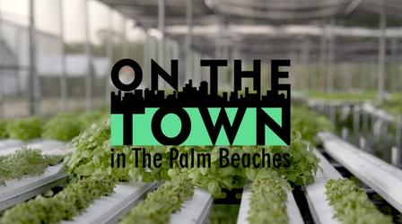 Video thumbnail: On The Town Swank Table Events | On The Town Foodie Adventures