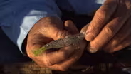 Lures, Tackle & the Tide | Gear Time