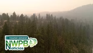 Incendios forestales en WA y una cerveza que sabe al noroeste - 26 de julio de 2024