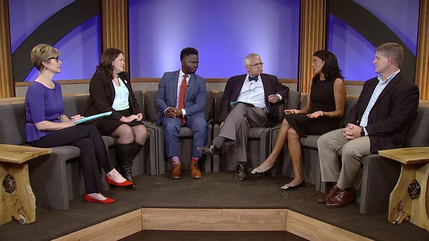 The Political Panel