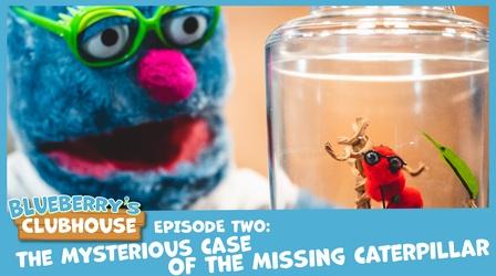 Video thumbnail: Blueberry's Clubhouse The Mystery of the Missing Caterpillar