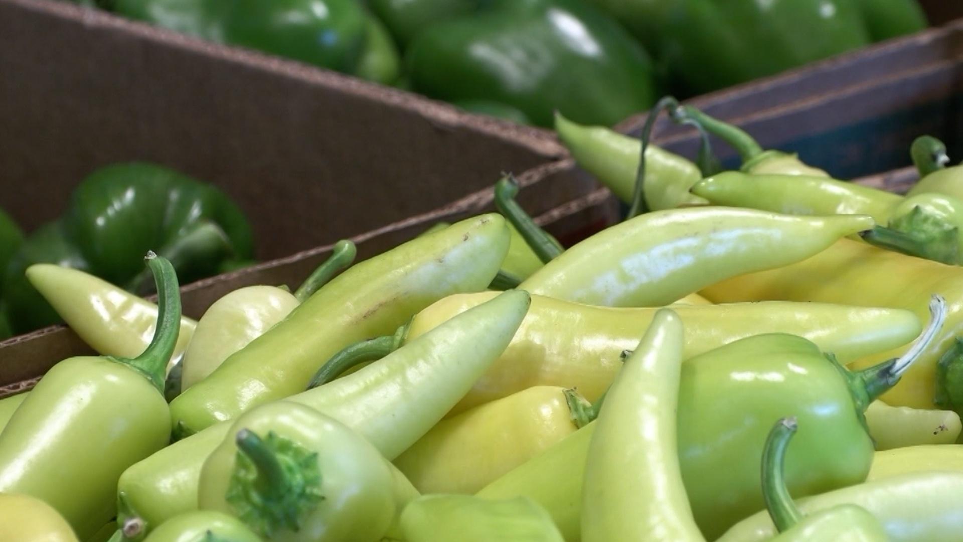 Food is Medicine Getting Overwhelming Support from Lawmakers