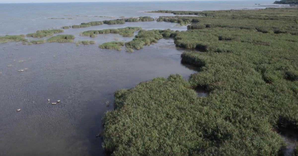 Great Lakes Now | Battling Invaders and Exploring Hidden Habitats | Season 5 | Episode 3