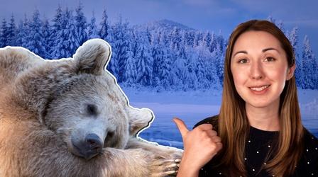 Video thumbnail: Reactions Climate Change is Affecting Hibernation Patterns of Animals