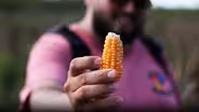 Tradicion