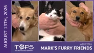 8/13/2026 | Popsicle, Cassandra and Toast | Mark's Furry Friends Extra
