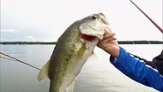 Bass Fishing with State Champs