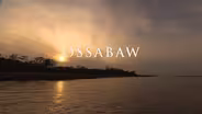 Ossabaw