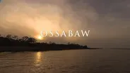 Ossabaw