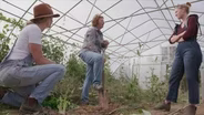 Heirloom Seeds