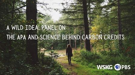Video thumbnail: Science Specials A Wild Idea: The APA and Science Behind Carbon Credits