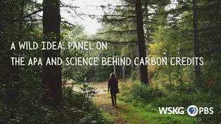 A Wild Idea: The APA and Science Behind Carbon Credits