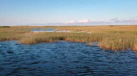 Video thumbnail: American Experience The Swamp: Chapter 1