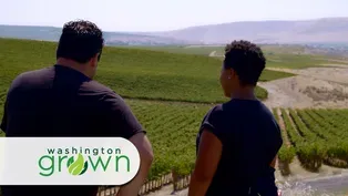 Sustainable Vineyards preview