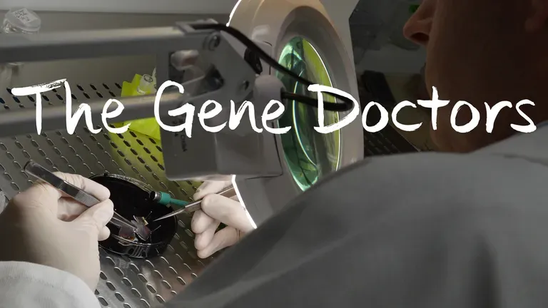 The Gene Doctors | PBS
