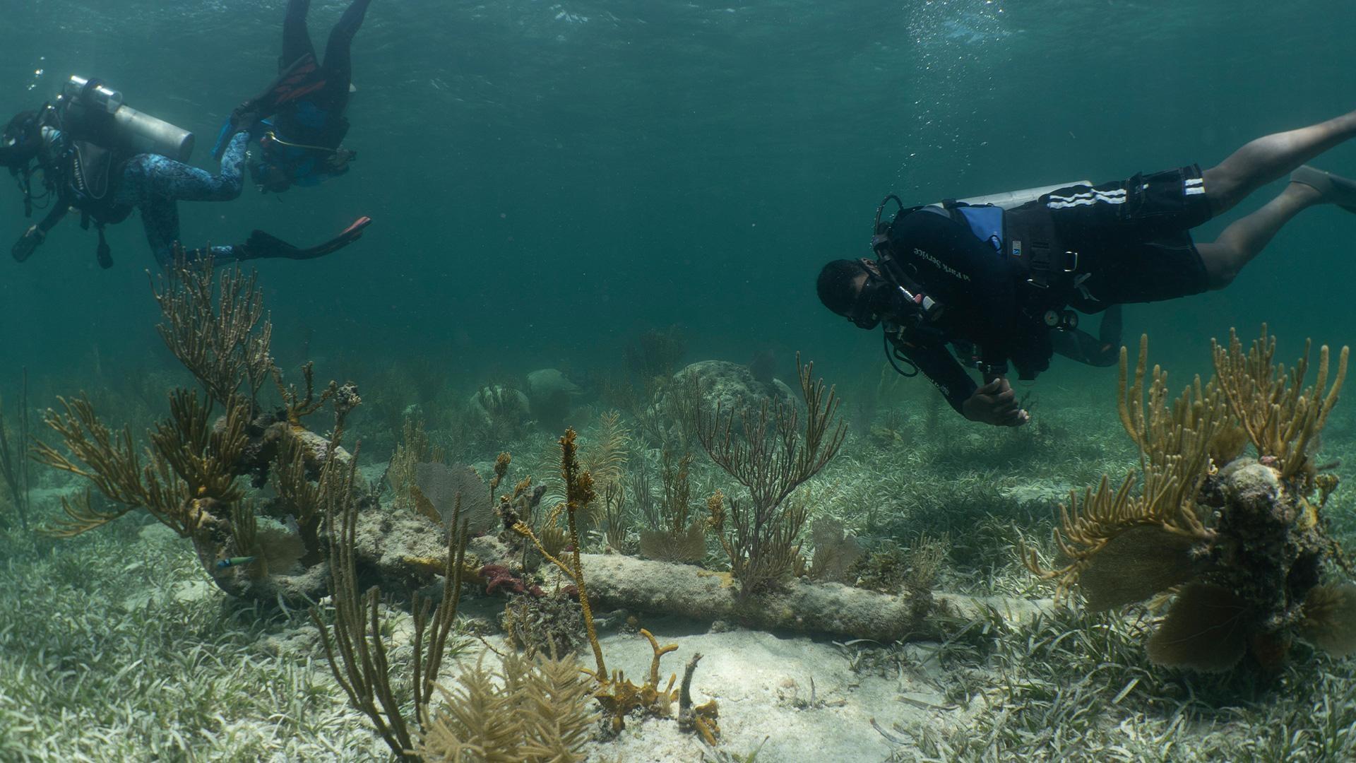 Two journalists go on location to trace the footsteps of the enslaved.