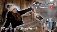 Maple Syrup at Bendix Woods