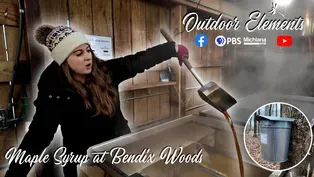 Maple Syrup at Bendix Woods