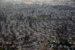 Pacific Palisades begins to face extent of wildfire recovery