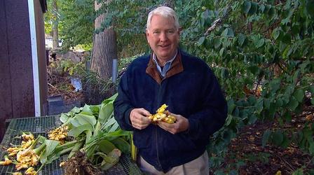 Video thumbnail: Maryland Farm & Harvest Episode 911