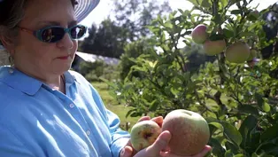 Field Trip to Century Farm Orchards