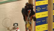 SPIRIT DOLLS