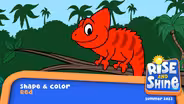 Shape and Color- Red