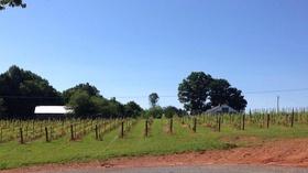Video thumbnail: NC Weekend Yadkin Valley Winter Wine Passport Part2