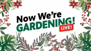 Now We're Gardening LIVE! Episode 2