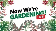 Now We're Gardening LIVE! Episode 2