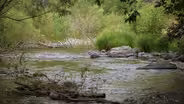 Future of the Gila River