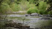 Future of the Gila River