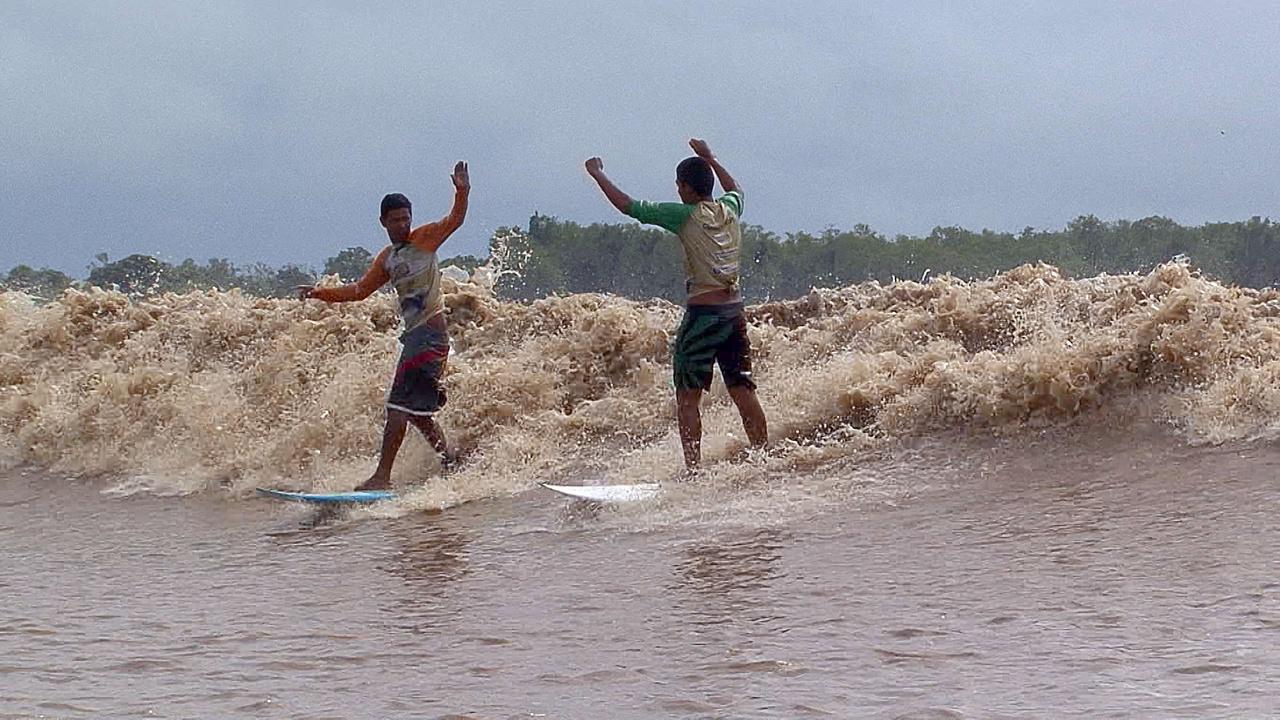 Pororoca: Brazilâ€™s Famous Wave